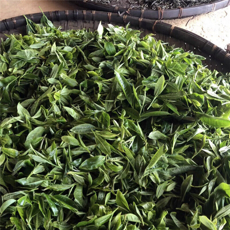 Spring Pu-Erh Raw Tea Cakes  Menghai Pu'er Green Tea Healthy Drink 357g/12.59oz