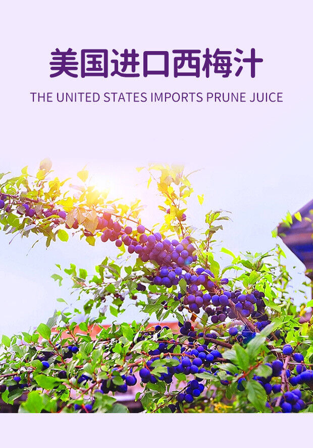 Prebiotic Prune Juice Blueberry Enzyme Drink Prune Drink Prune Puree 30ML*5
