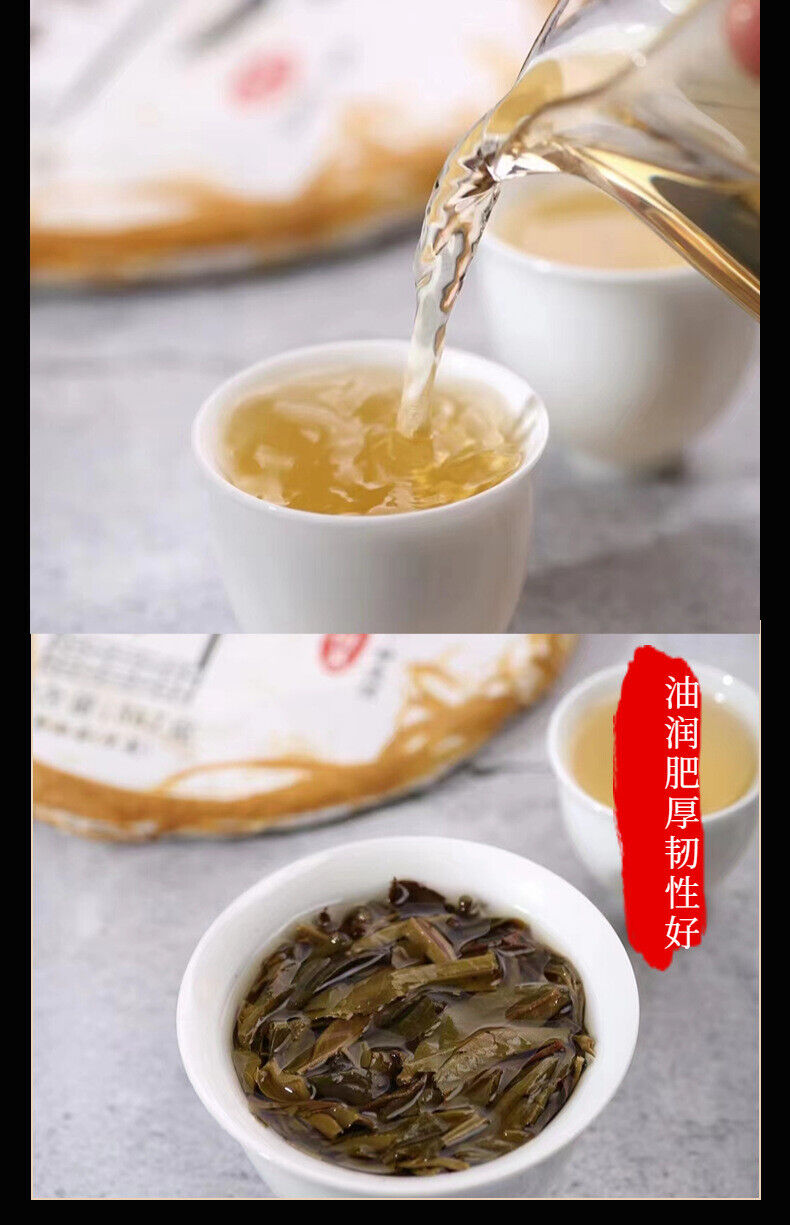 Yunnan Tea Long Yin Ban Zhang Pu'er Tea Raw Tea 357g Cake Tea