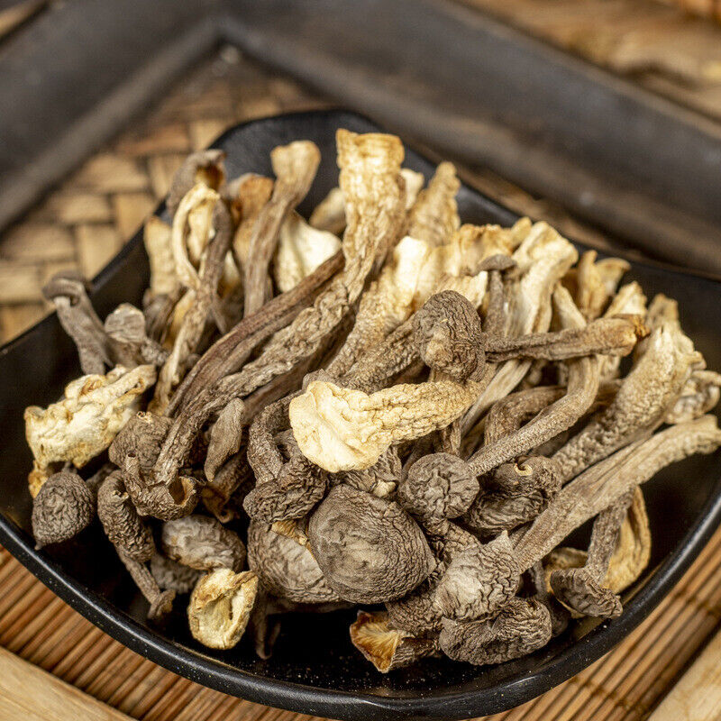 Crispy Deer Mushroom 50g Dried for Soup Hot Pot Fresh TikTok Popular