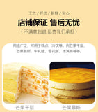 Pure Mango Powder for Baking Pudding Ice Cream Cake Ingredients Without Adding