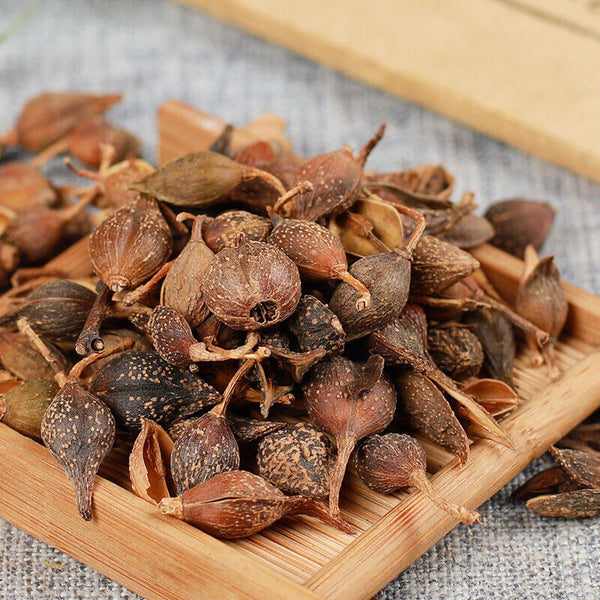 250g /500g High Quality Featured Forsythia Lianqiao Health Top Tea 连翘