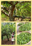 Big Tree Tea Brown Peacock Pu'er Tea Ripe Tea Cake Yunnan Qizi Cake Tea 357g