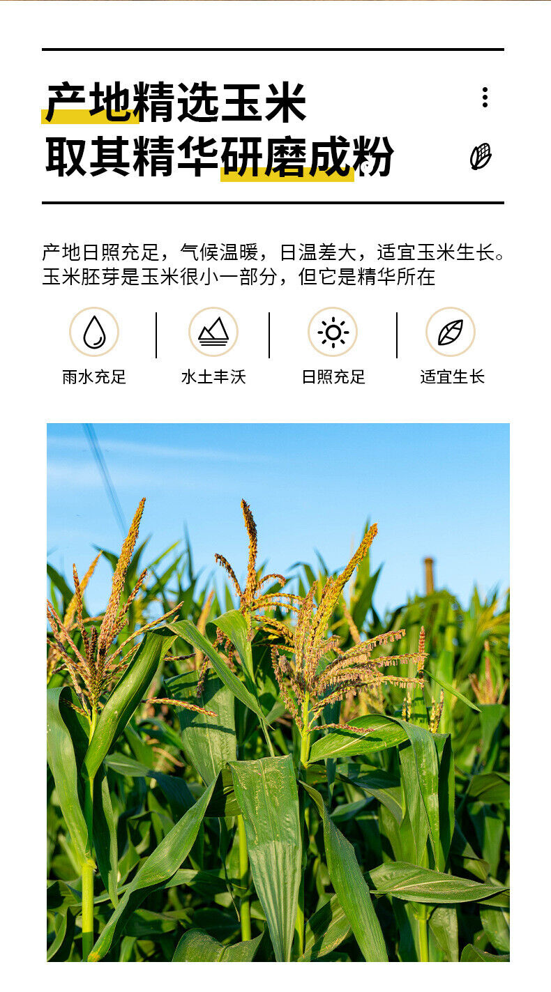 Corn Germ Powder Solid Beverage Rich in Selenium Corn Germ Powder Concentrated