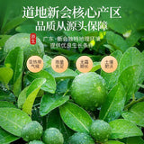 30g/1.05oz Tangerine peel tea Dried Orange Peel, Herbal Tangerines, Chen Pi Tea