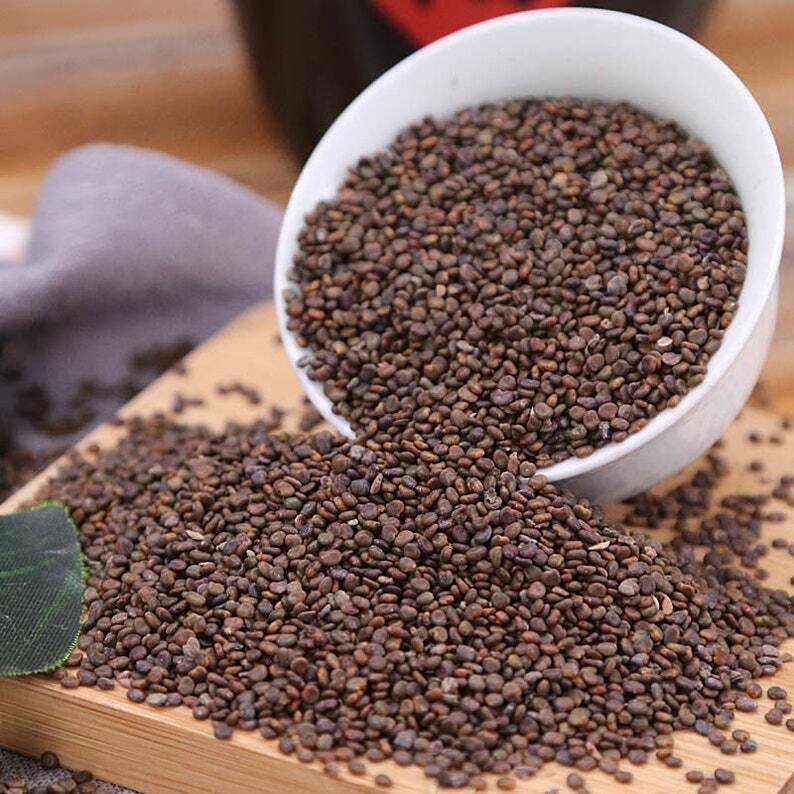 Recommend Organic Flastem Milkvetch Seed, Semen Astragali Complanati Sha Yuan Zi Main image
