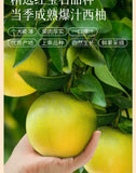 FD Orange SlicesDried OrangesDried Grapefruit SlicesGrapefruit TeaLemon Slices