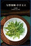 2025 Spring Rain Maojian Green Tea Fresh Buds High Mountain Green Tea 30g Bag