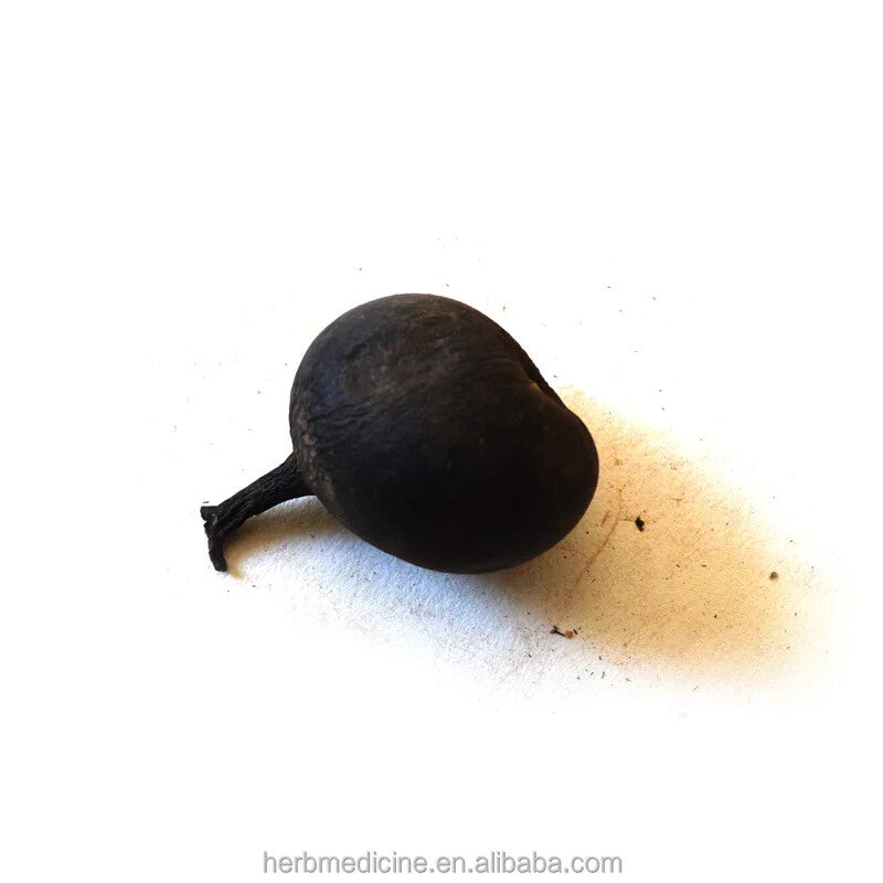 Natural and Dried Whole Black Xylaria Nigripes Klotzsch Cooke Sclerotium 50g Secondary image