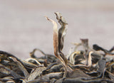 500g Organic Spring Tea Yunnan Yiwu Spring Tea Sweet Rhythm Pu'er Tea