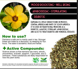 Damiana Leaf Dried Cut Turnera Diffusa 100% Pure Damiana Herb Herbalism 1.7 oz