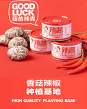 80g*10can  Mushroom Fresh Pepper Hot Sauce Rice and Noodle Chili Sauce Good Luck