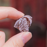 Seedless Preserved Plums Sweet and Sour Fruit Snacks