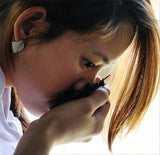 Tieguanyin Green Tea Alpine Jinxuan Tea Organic Milk Oolong Tea Milk Tea