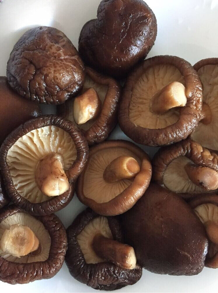 1.1 LB (17.6 oz) 100% NATURAL PREMIUM DRIED SHIITAKE CHINESE MUSHROOM Secondary image