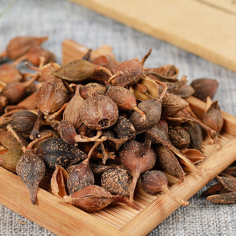 250g /500g Featured Forsythia Lianqiao Health Tea 连翘