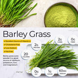 Organic Barley Grass Powder, Certified Organic 1kg, Best Available Quality