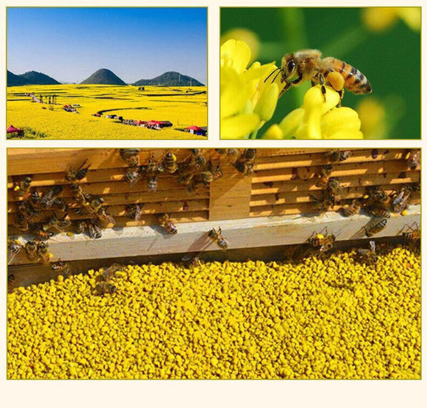 Thé de Printemps Pu'er Pollen Spécialité du Plateau du Yunnan 200g