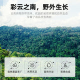 Natural Tragacanth Gum Yunnan Brushed Snow Swallow 35g Canned