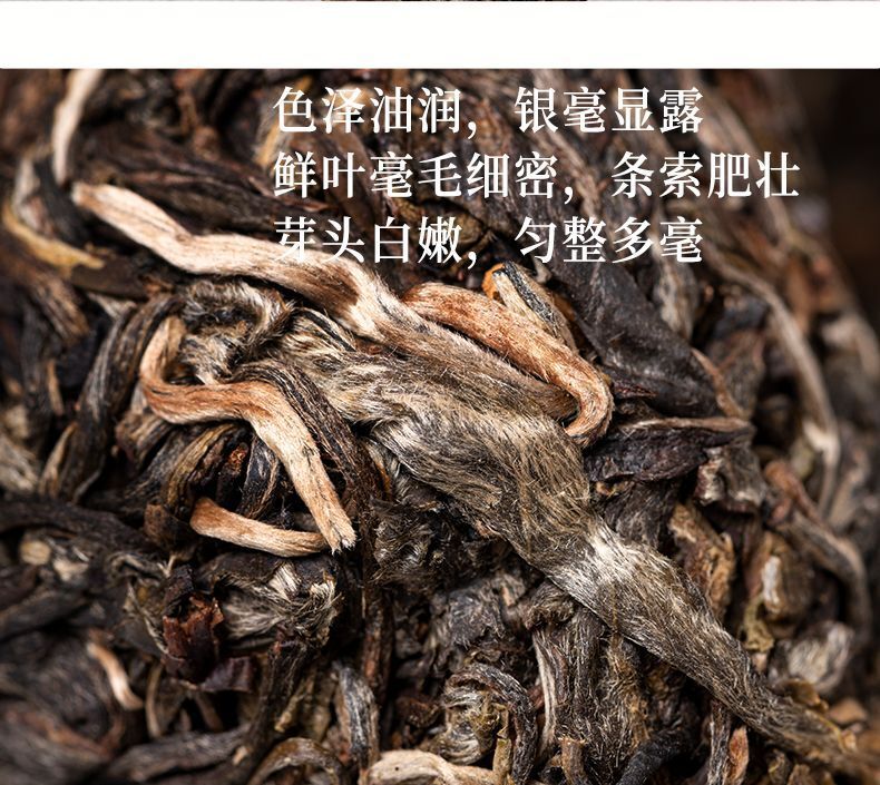 Yunnan Ancient Tree Puerh Tea Raw Tea Golden Melon Tribute Tea Yiwu 500g