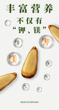 Premium Authentic Parana Pine Nuts Natural High Quality For Sale On Ebay