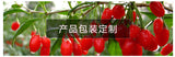 130g flower tea goji berry bottled flower and herbal healthy tea canned
