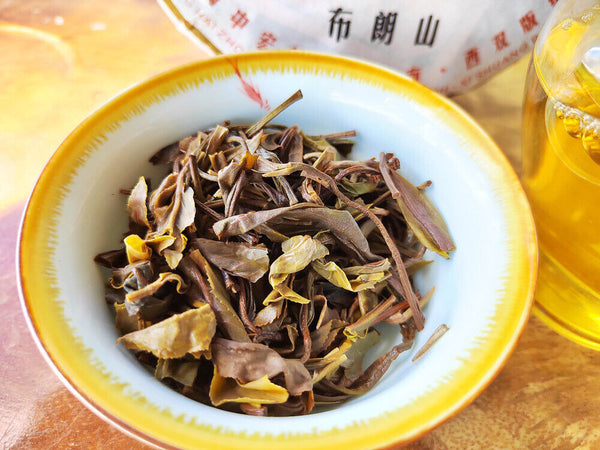 Yunnan Menghai Pu'er Tea Brown Mountain Early Spring Arbor Pu'er Raw Tea Cake
