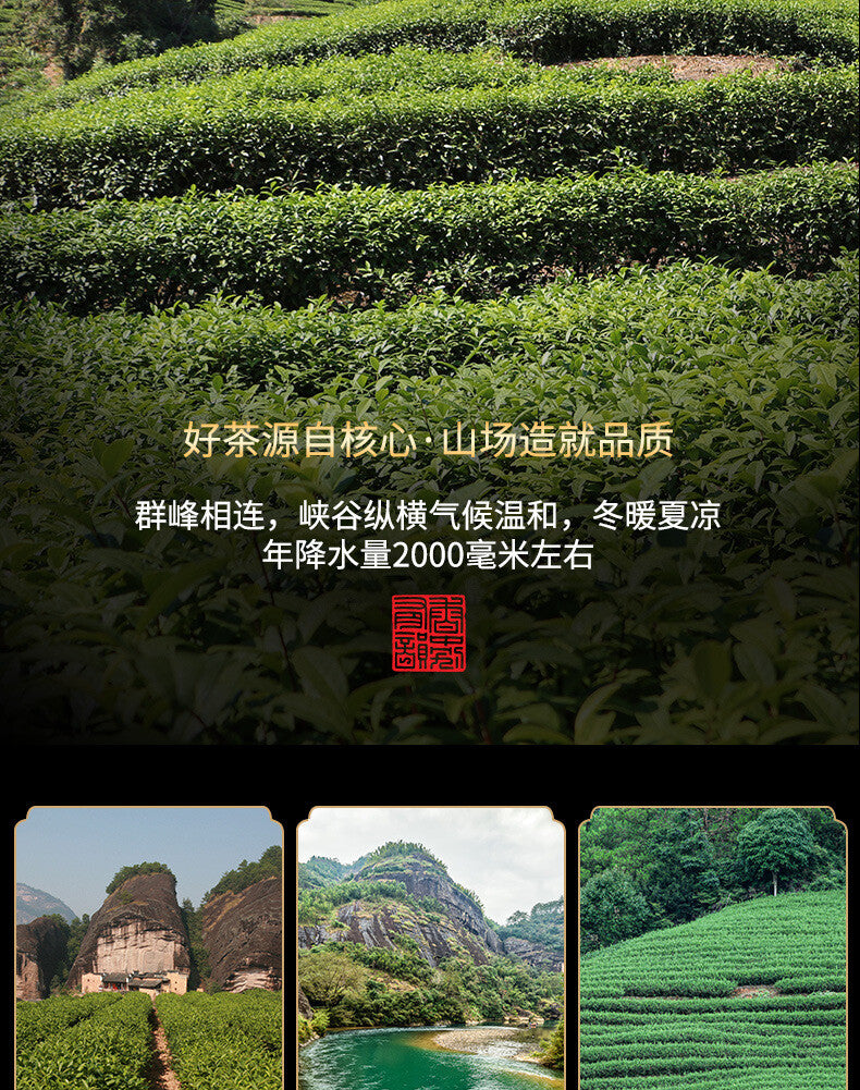 Fujian Wuyi Mountain Dahongpao Cinnamon Narcissus Tea Bulk Oolong Tea 128g