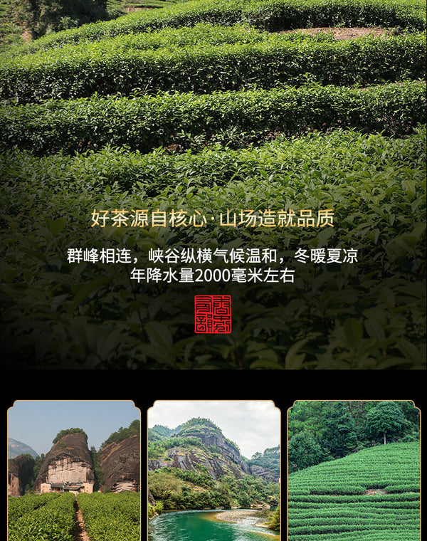 Fujian Wuyi Mountain Dahongpao Cinnamon Narcissus Tea Bulk Oolong Tea 128g
