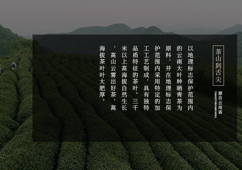 357g Yunnan Tea Puerh Tea Wholesale Jingmai Golden Bud Puerh Ripe Pu'er Tea Cake