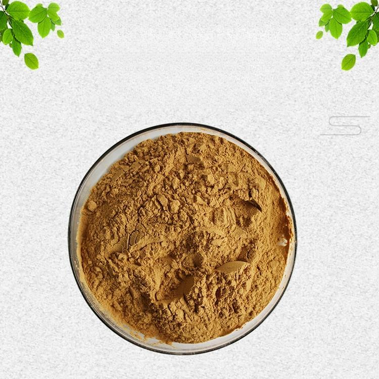 200g Natural Botanically Sourced Schizandra Berry 10:1 Extract Powder Secondary image