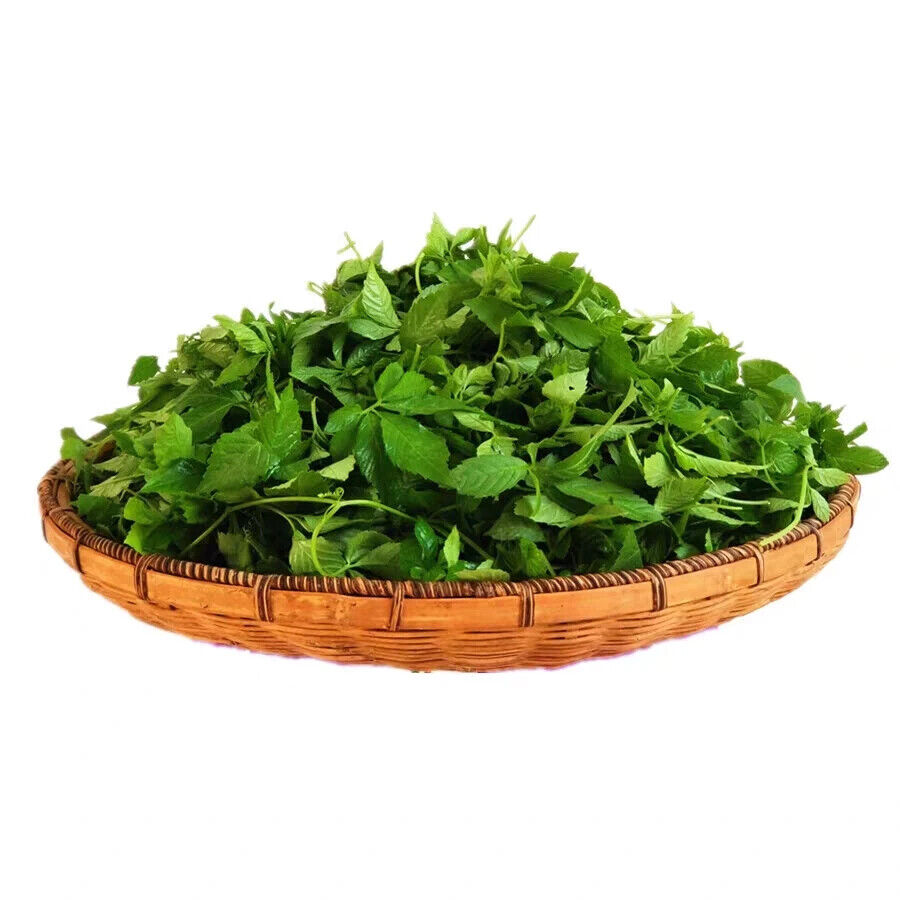 Organic Health Tea Jiaogulan Tender Leaf Tea Gynostemma Pentaphylla New Harvest