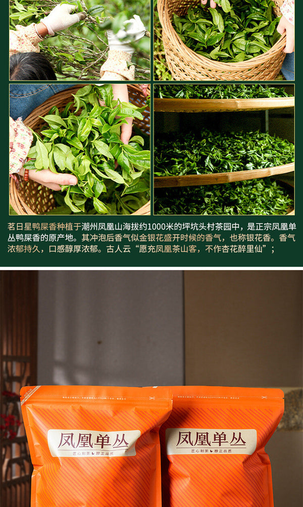 High Mountain Honey Orchid Fragrance Chaozhou Phoenix Dancong Tea Ya Shi Xiang