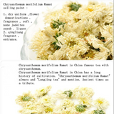 50g Top-Grade chinesische Kräuter Chrysantheme Tee Blume duftend