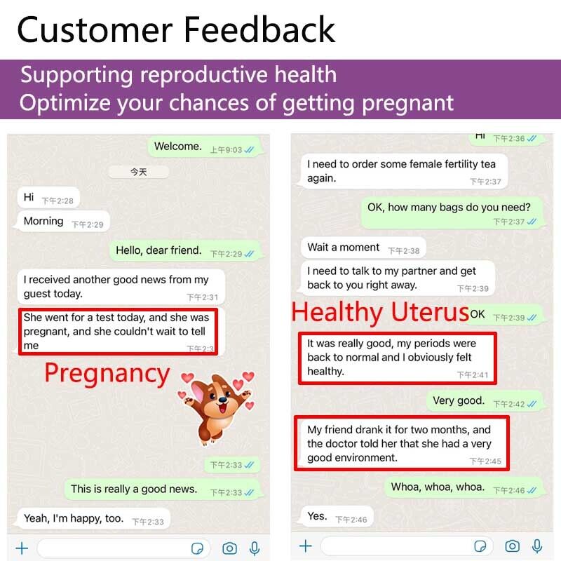 Weibliche Fruchtbarkeit Fibroid Tee Kräuter Teebeutel Gebärmutter Detox Tee