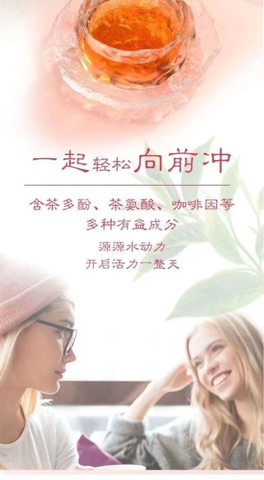 Rose Oolong Tea Bags Cold Brew Floral Aromatic Healthy Relaxing Office Wellness