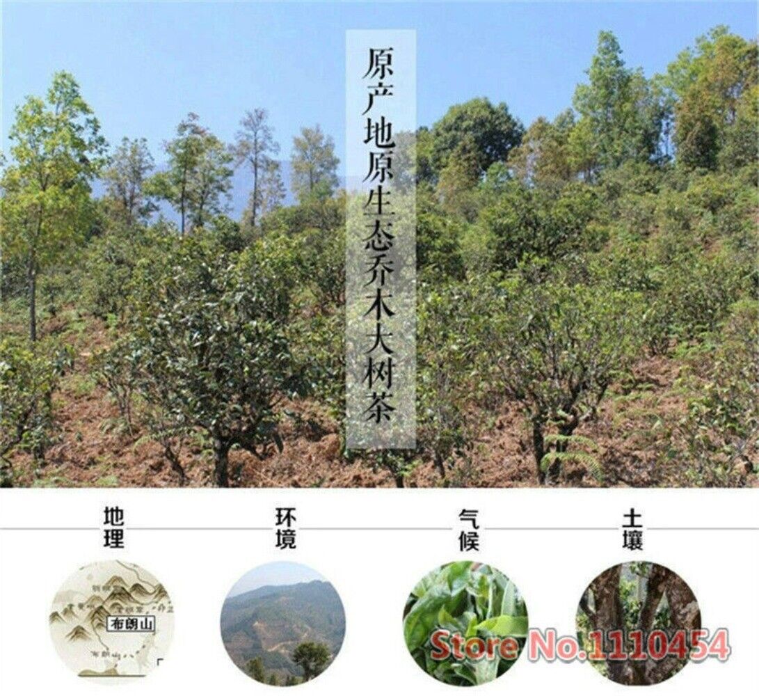 Yunnan Menghai Sheng Puerh Tea Cake 357g Raw Green Puer Premium Organic