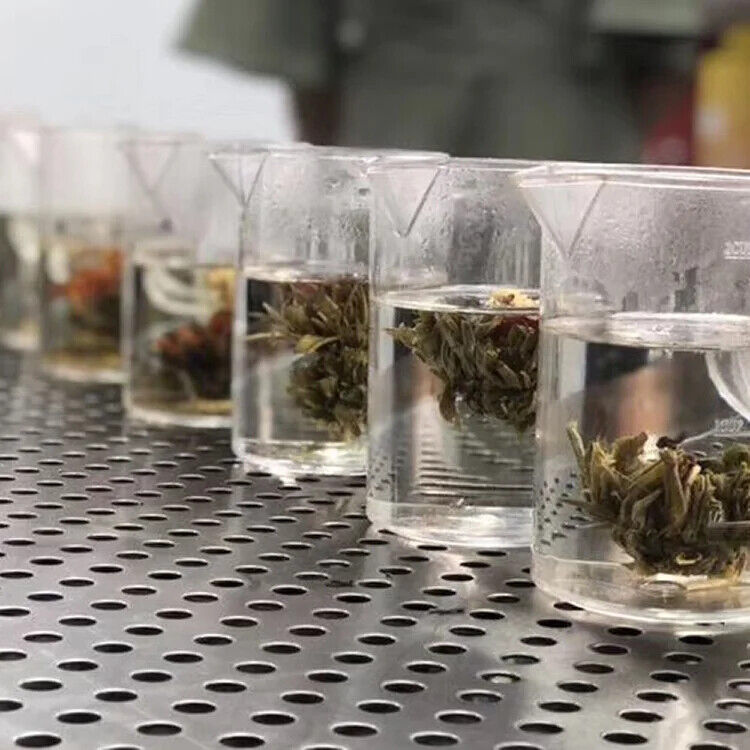 Spring Flavored White Tea Jasmine Lily Blossom Tea Blooming Flower Tea 20pcs