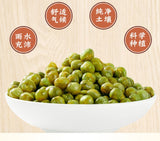 Garlic Green Beans Mixed Nuts Pistachios Sunflower Seeds Dried Fruits Snack