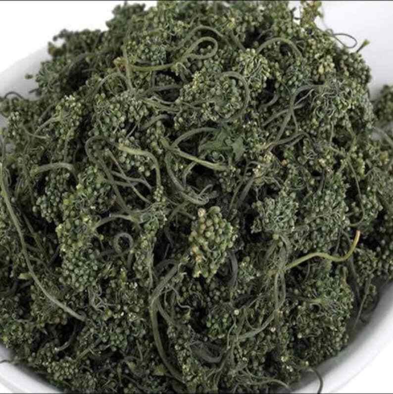 Ginseng Flower Tea, Panax Ginseng Of Flowers, Ginseng Flower Nature Herbal Tea Main image