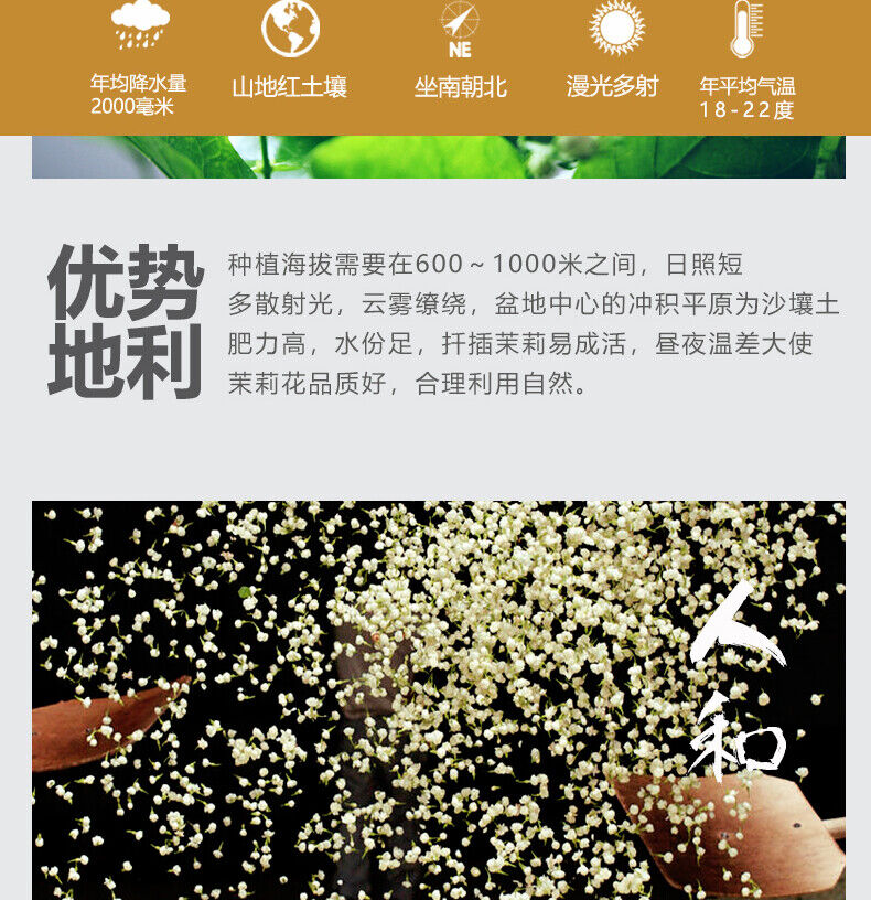 Strong Fragrance Jasmine Tea New Tea Loose Drifting Fragrance Herbal Tea 100g