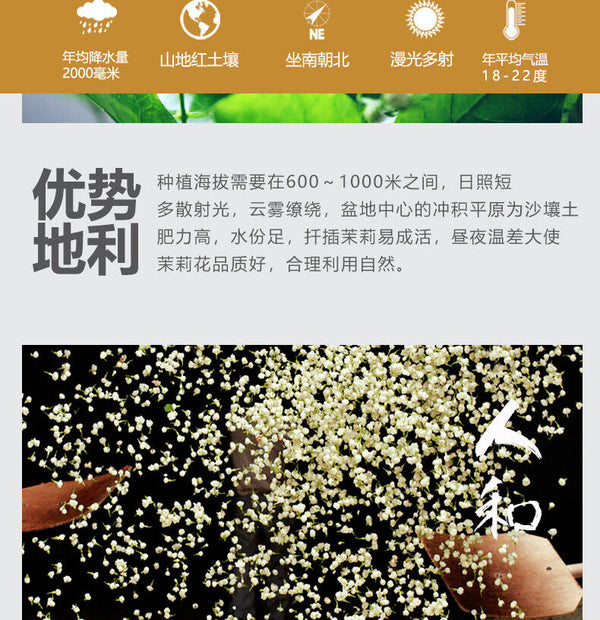 Strong Fragrance Jasmine Tea New Tea Loose Drifting Fragrance Herbal Tea 100g