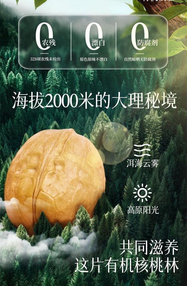 Raw Organic Yunnan Walnuts – Shelled Nuts for Baking, Snacking & Moms