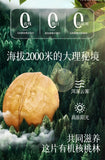 Raw Organic Yunnan Walnuts – Shelled Nuts for Baking, Snacking & Moms