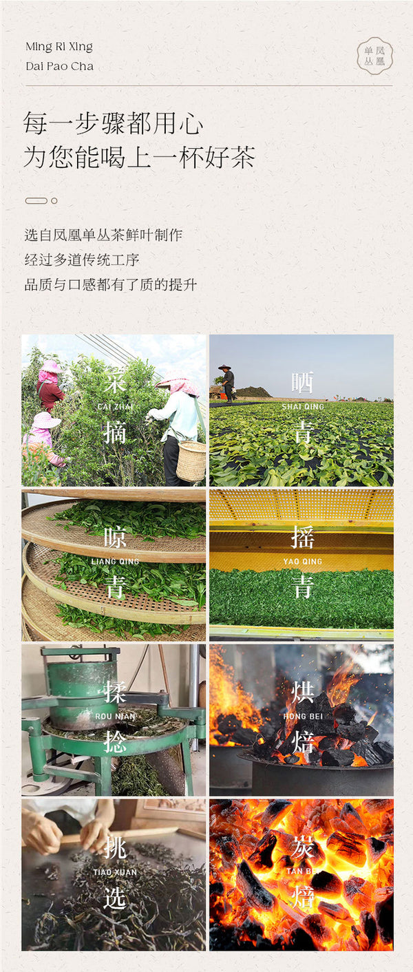 High Mountain Ya Shi Xiang Tea Bags Boxed Premium Phoenix Dancong Tea