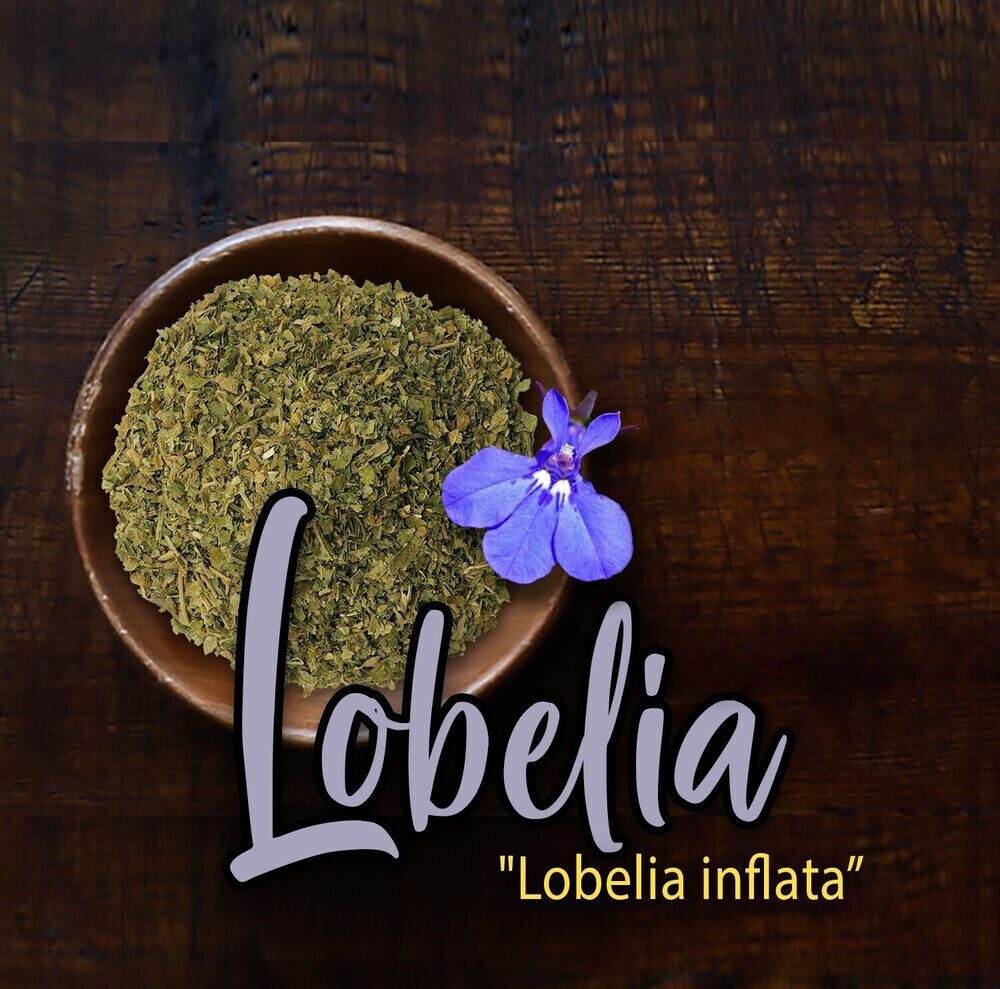 Lobelia Herb Dried Lobelia inflata 500g Apothecary Herbal Main image