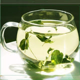 Natural Premium Quality New Leaf Natural Yunnan Moringa Tea Moringa Leaves