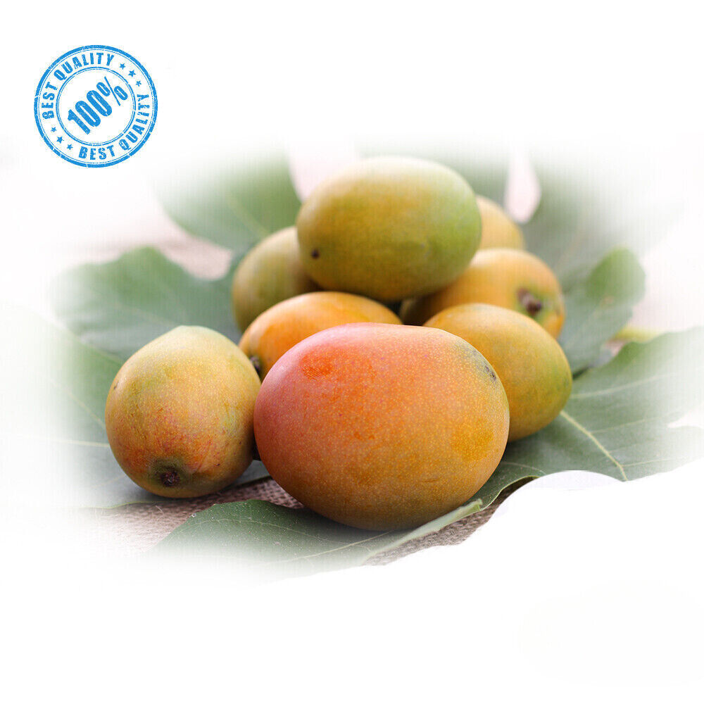 Organic Fruit Powder Blend: Lassi Mango, Pineapple, Banana, Papaya, Avocado