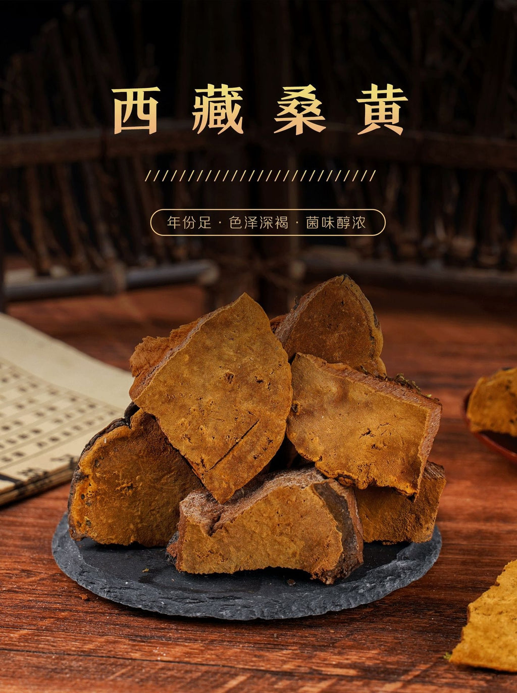 SANGHUANG Phellinus Linteus Phellinus Maulbeere Natürlich, biologisch 桑黄 200g