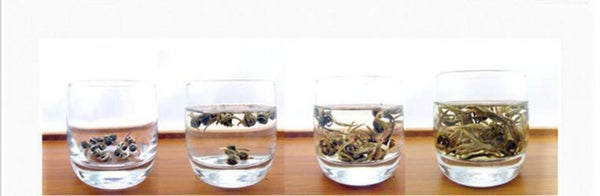 New Good Tea Colitas Tea Superior Jasminetea Jasmine Dragon Pearl 150g